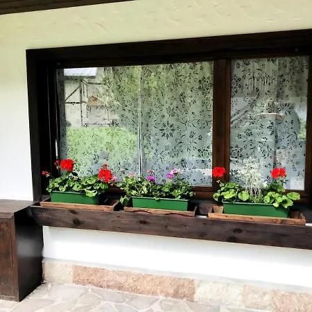 La Casa Di Frida Lejlighed Mareson Pecol